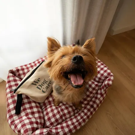 Innside By Melia Oceanic