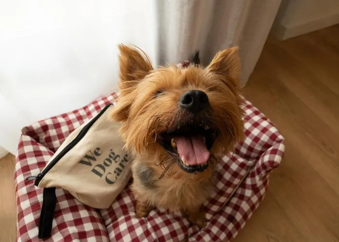 Innside By Melia Oceanic